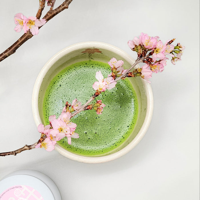 #0982.K2 Yunomi Matcha Naturally Grown - Sakurahime - Kagoshima Okumidori- Standard Ceremonial Grade yunomi.life 3