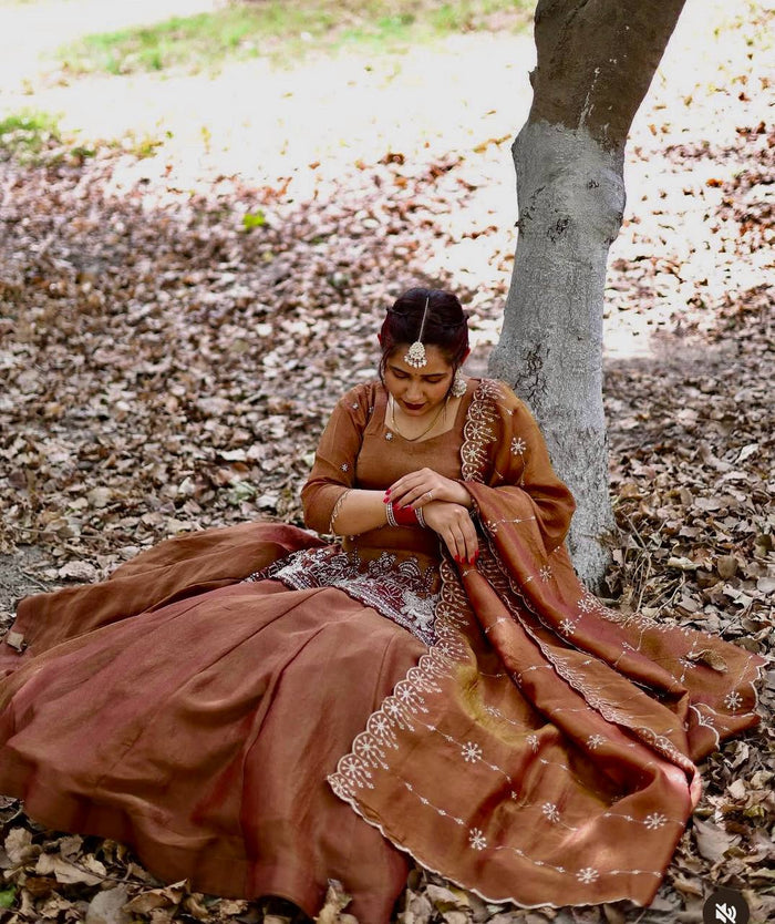 A Brown Embroidered Silk Suit