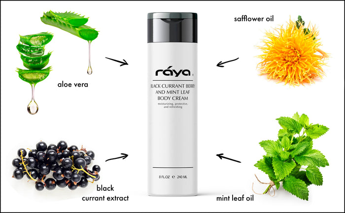 BLACK CURRANT BERRY AND MINT LEAF BODY CREAM (S-522) RAYA SPA - rayaspa