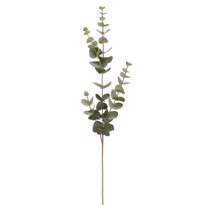 The ALLSTATE FLORAL AND CRAFT EUCALYPTUS SPRAY 32 features a single 32" stem with round green leaves on thin, branching stems. Displayed against a white background. Available for instore pickup.