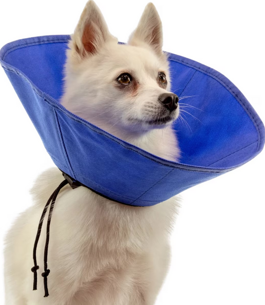 EZ Soft Recovery Collar