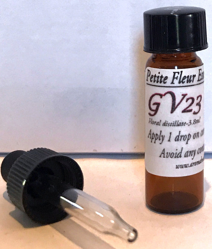 GV23
