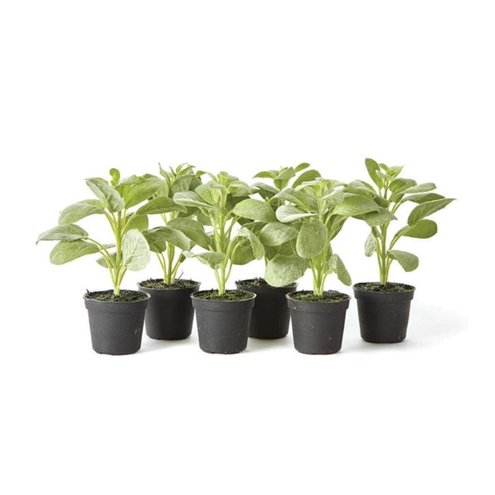 Six MINI DROP IN SAGE artificial plants by NAPA HOME AND GARDEN are displayed in black mini pots, arranged in two rows on a white background for a realistic herbal look.