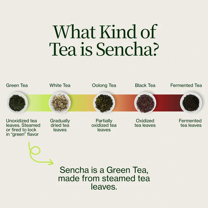 Uji Sencha Chanoka