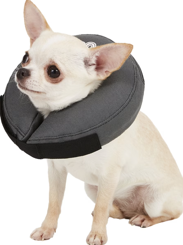 ZenPet ZenCollar Inflatable Recovery Collar