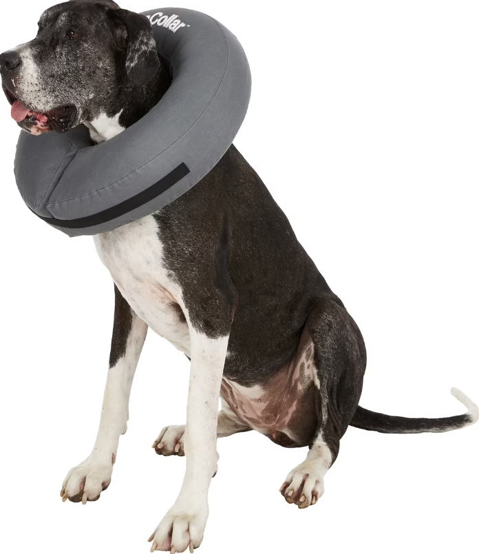 ZenPet ZenCollar Inflatable Recovery Collar